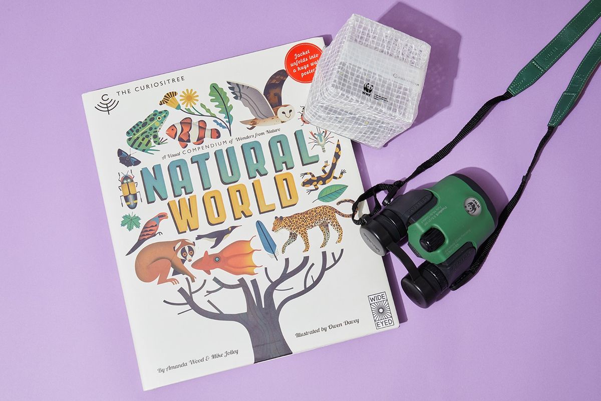 動物の描かれた絵本や双眼鏡が置かれた写真