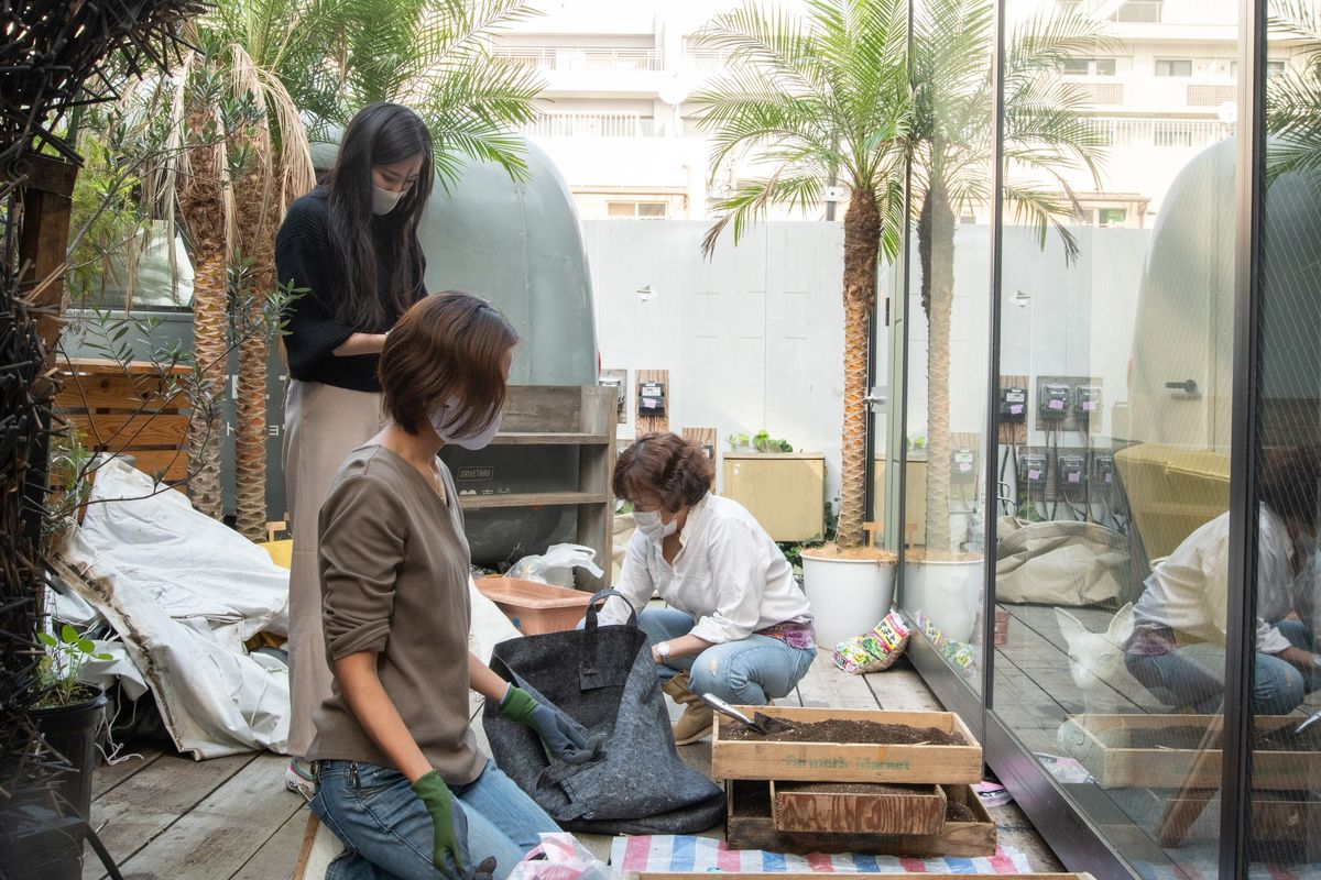 この日行っていた、土づくりから種まきの作業