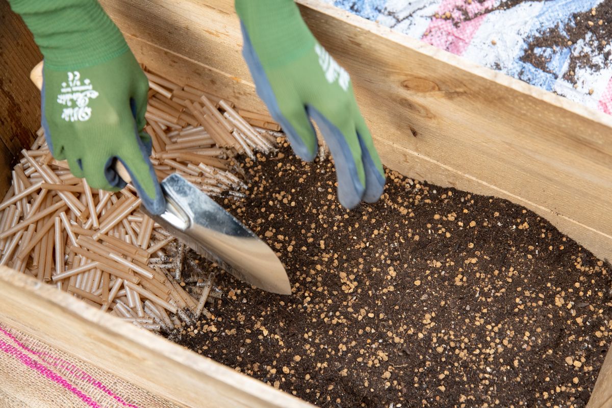 木箱の底に軽石の代わりにサトウキビストローを敷き詰める