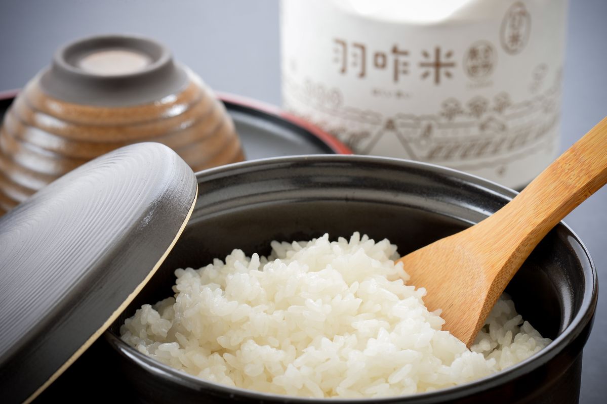 炊飯された羽咋米の白米