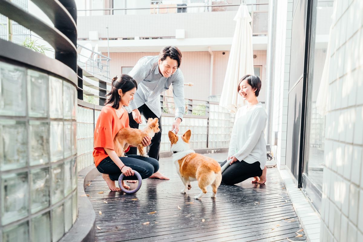 犬や猫と触れ合う男性と女性