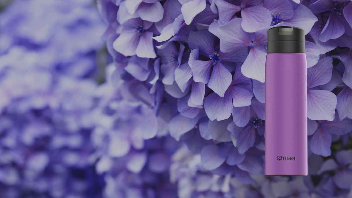 HYDRANGEA（パープル）