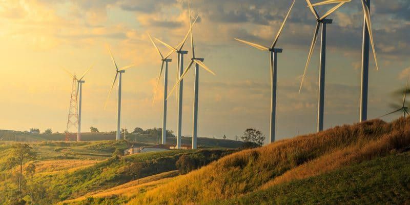 設立された風力発電所