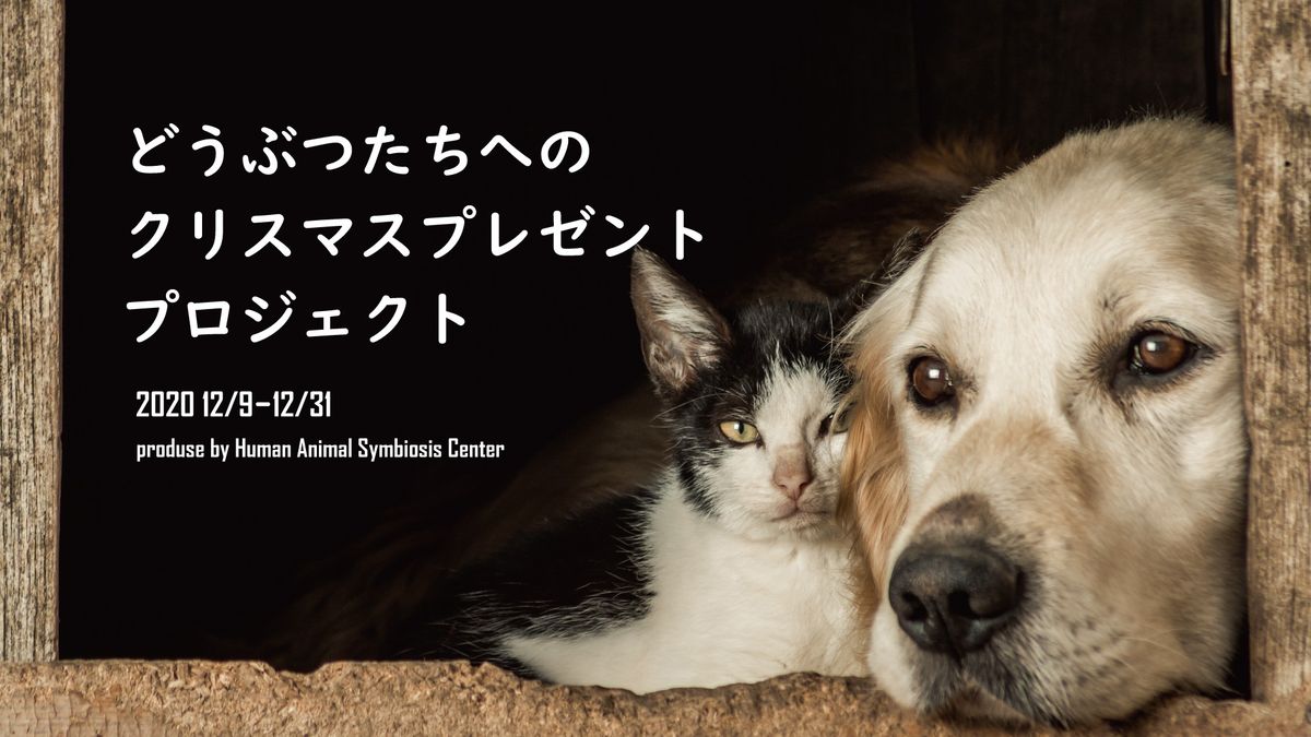 寄付プロジェクトのイメージ画像