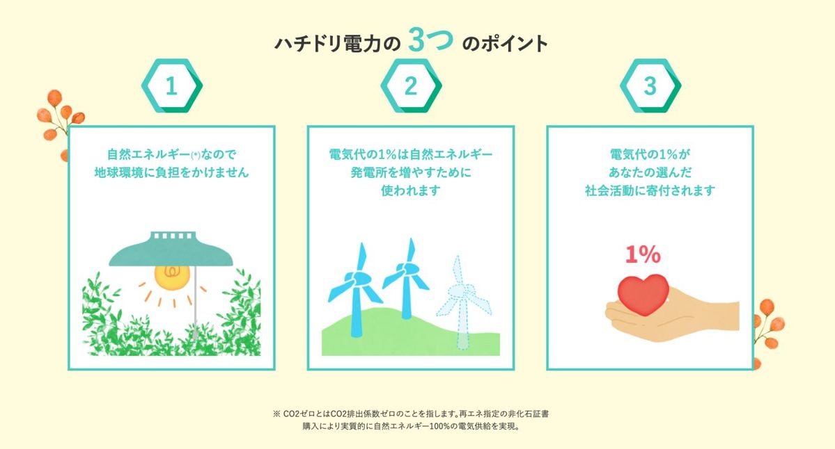 ハチドリ電力の３つのポイント