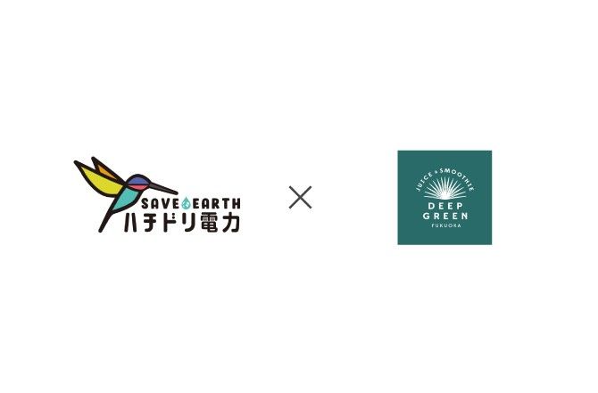 ハチドリ電力×DEEP GREEN FUKUOKA