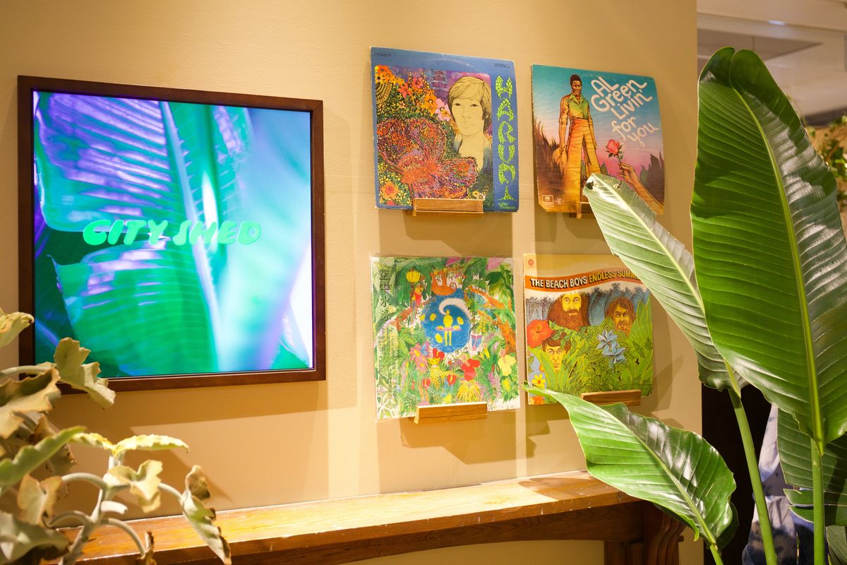 アメリカのロックバンド「The Beach Boys」や、石川県金沢のDJ「空中水泳」のレコード盤が並んだ棚