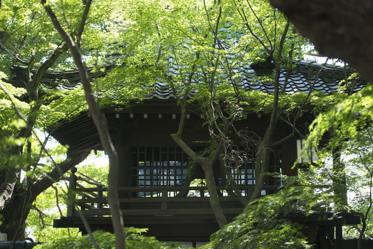 大中寺の外観写真