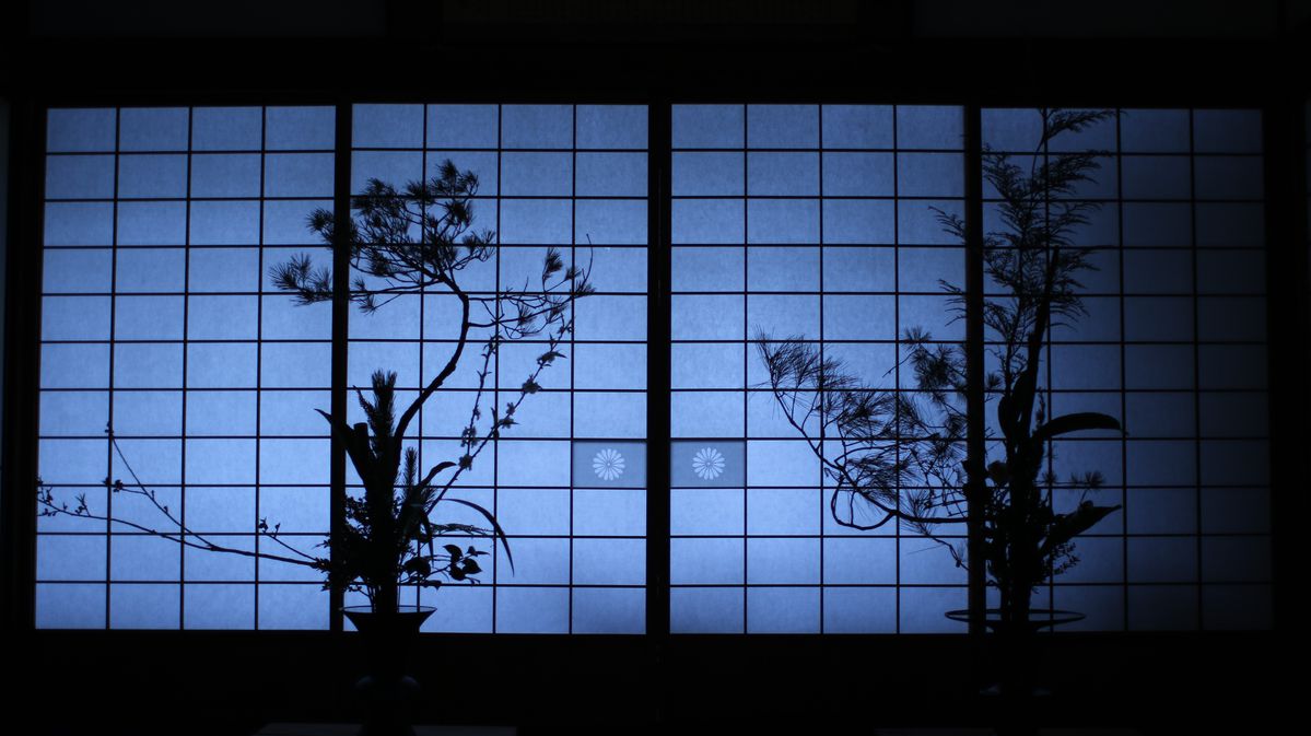 草木のシルエットが映った襖