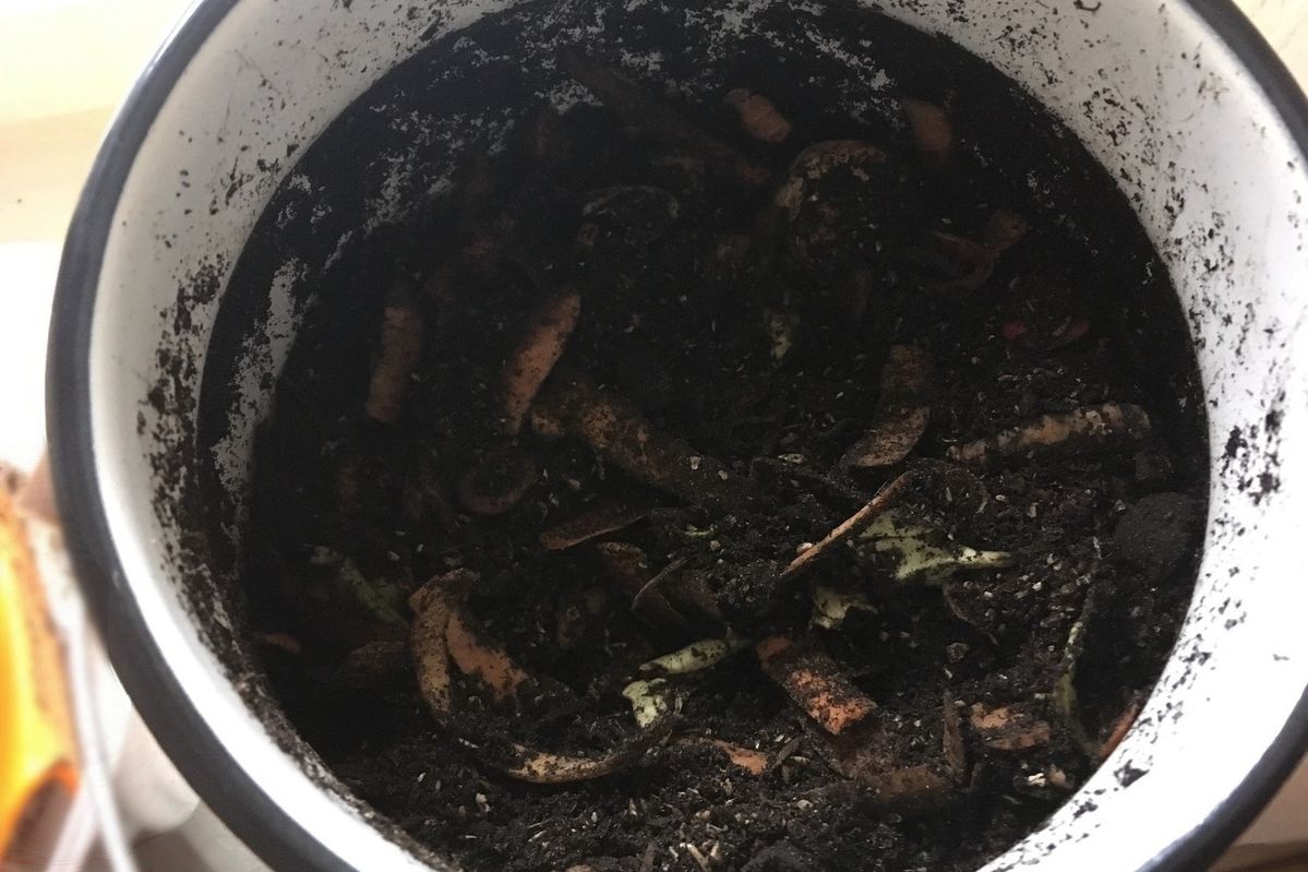 コンポスト中のポット