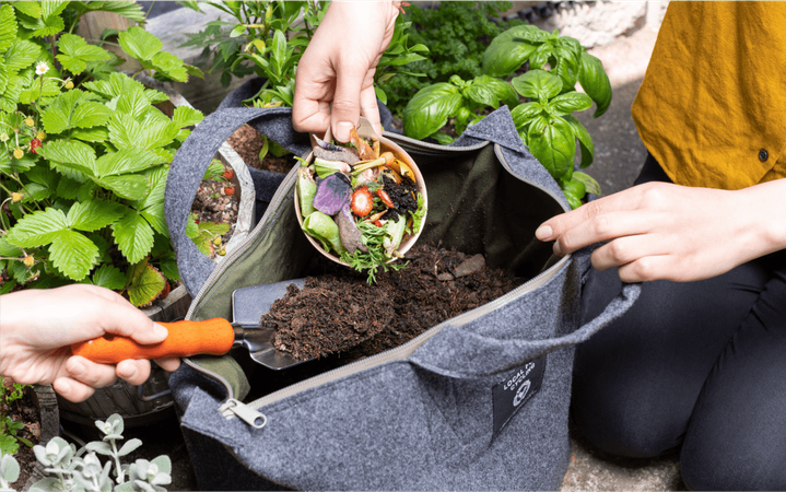 LFCコンポストを使用している画像